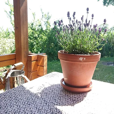 Gemuetliches Haeuschen In Phili Hébergement de vacances *